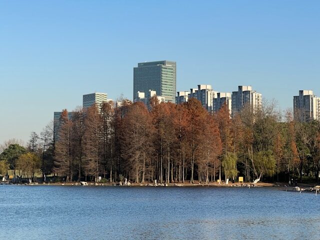 Parque do Século, Xangai - China
